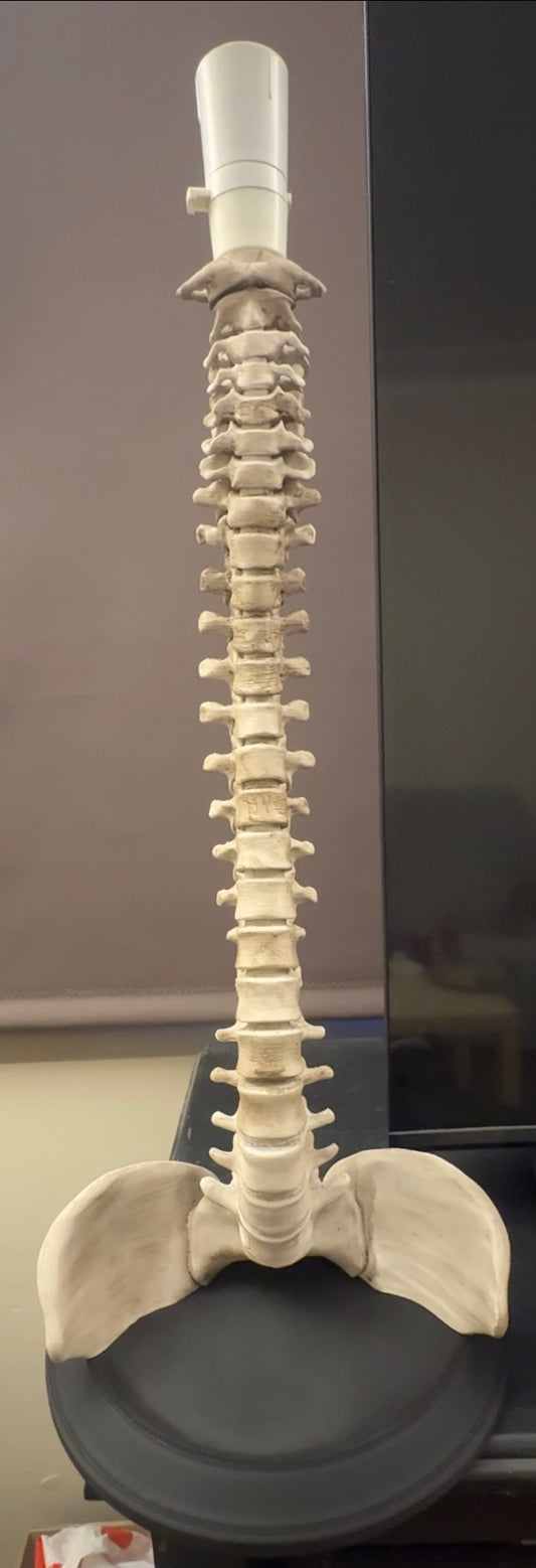 Spinal Table Lamp